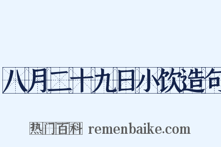 八月二十九日小饮造句是什么意思的图片
